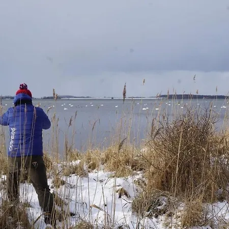 De Luette Modern Retreat