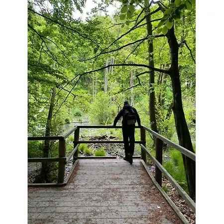 De Luette Modern Retreat